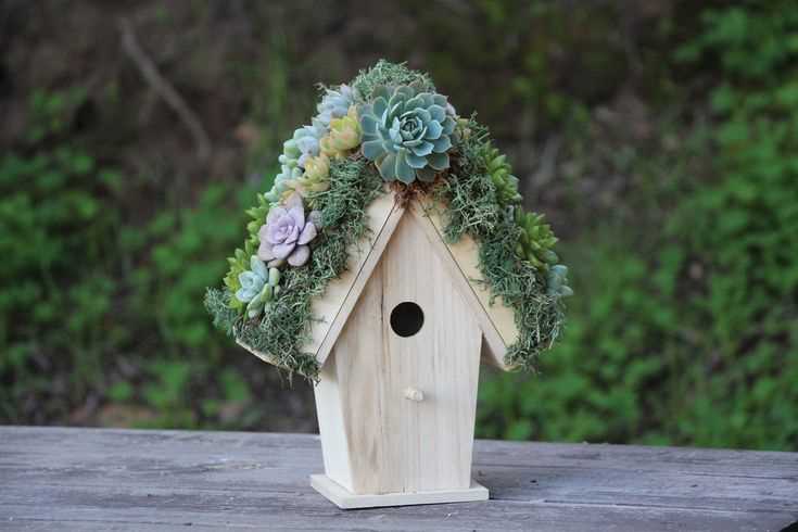 Building a Wooden Birdhouse: Providing Shelter for Feathered Friends