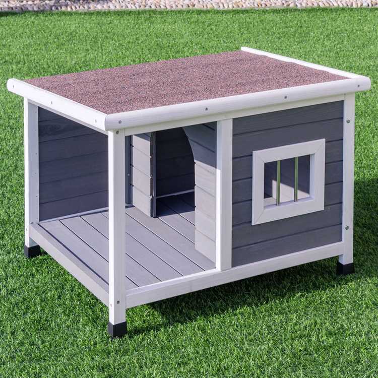 How to Build a Wooden Dog House: Sheltering Pets with Love and Care