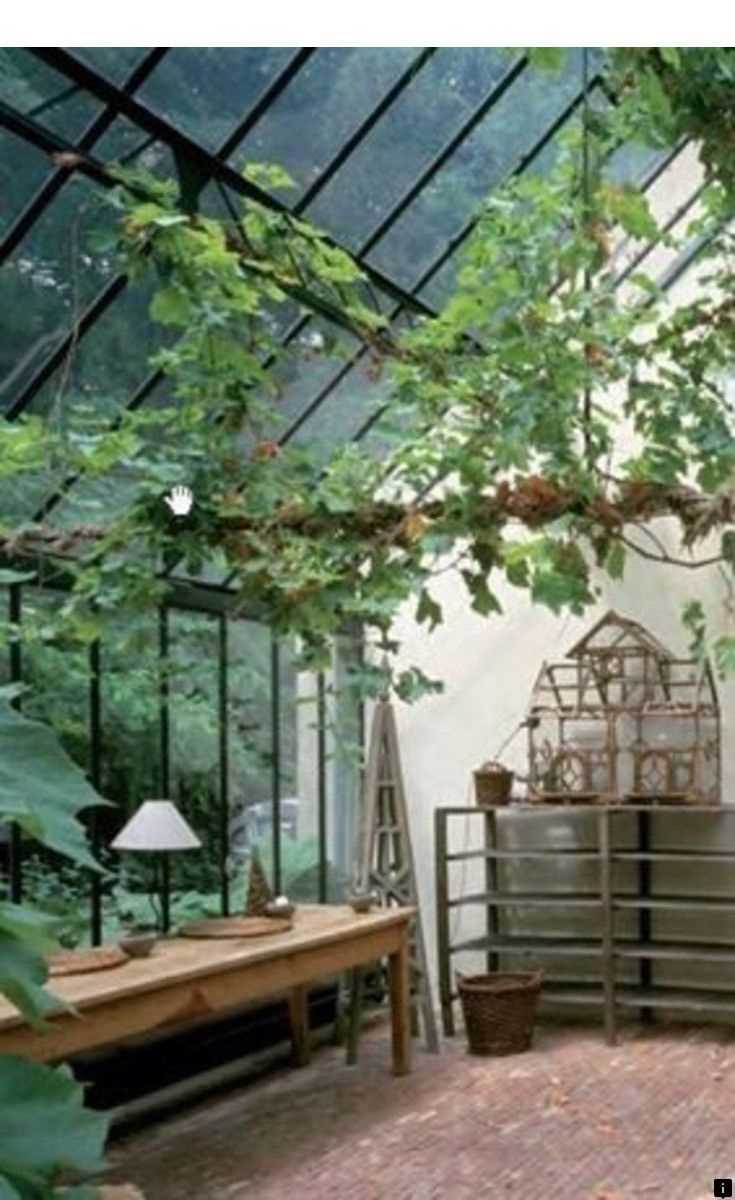 Building a Wooden Greenhouse: Growing Plants with Natural Grace