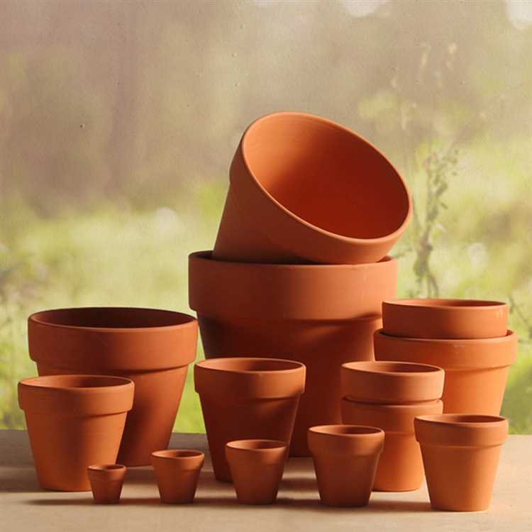 Ceramic Pottery for Plants: The Perfect Choice for Stylish Indoor Gardening