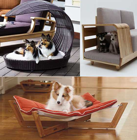 Building Functional and Stylish Pet Furniture: Woodworking for Pet Owners