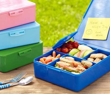 Do Bento Boxes Fit in Pottery Barn Lunch Boxes?