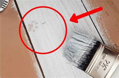What Should You Paint First – Walls or Woodwork?
