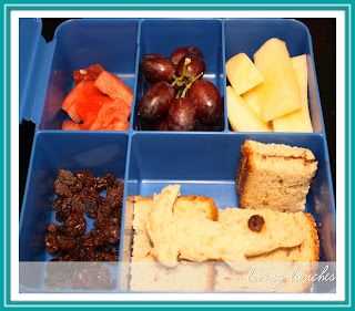 Overview of Bento Box and Pottery Barn Lunch Box