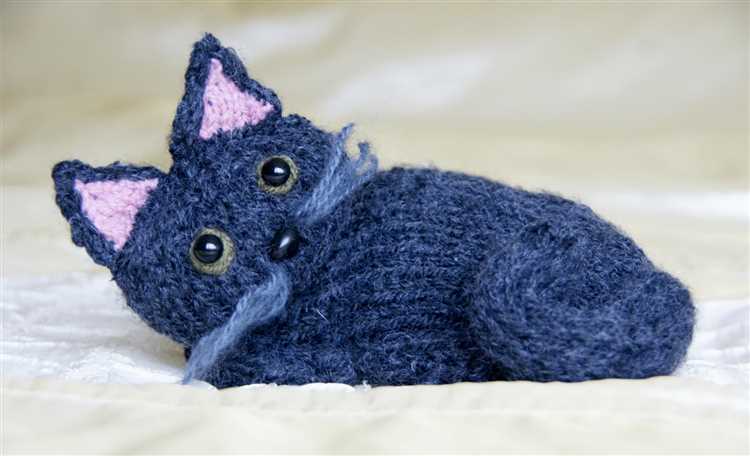 Learn How to Knit a Cat