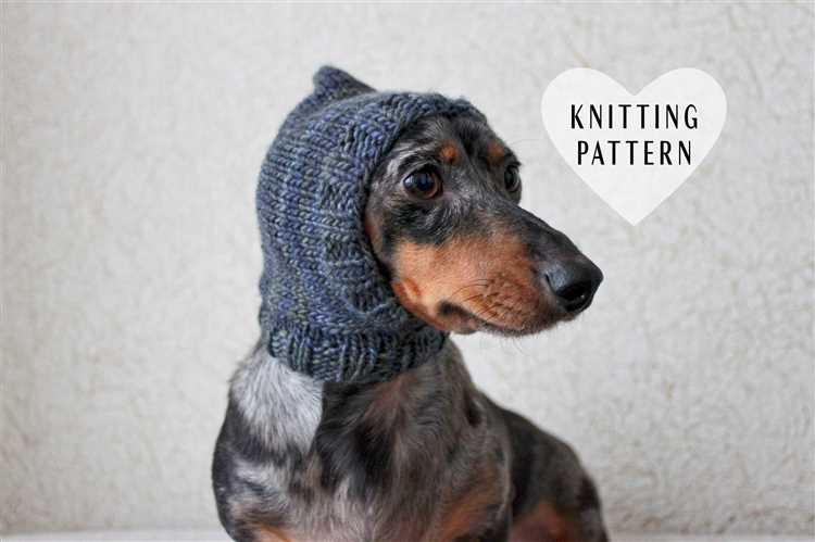 Learn how to knit a stylish hat for your dog