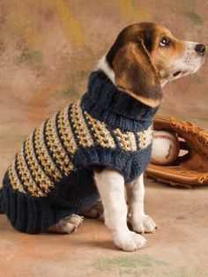 Knitting a Dog Sweater: Step-by-Step Guide and Tips
