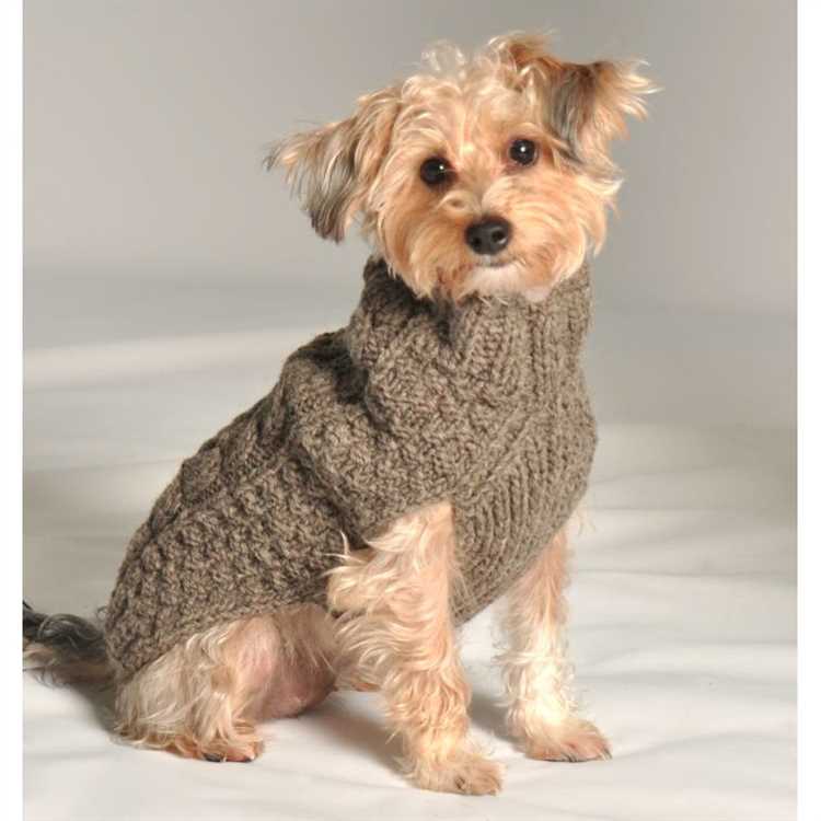 Knitting a Dog Sweater: Beginner’s Guide