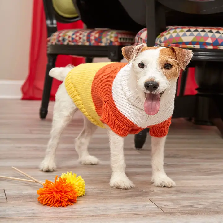 Knit a Dog Sweater: Step-by-Step Guide and Patterns
