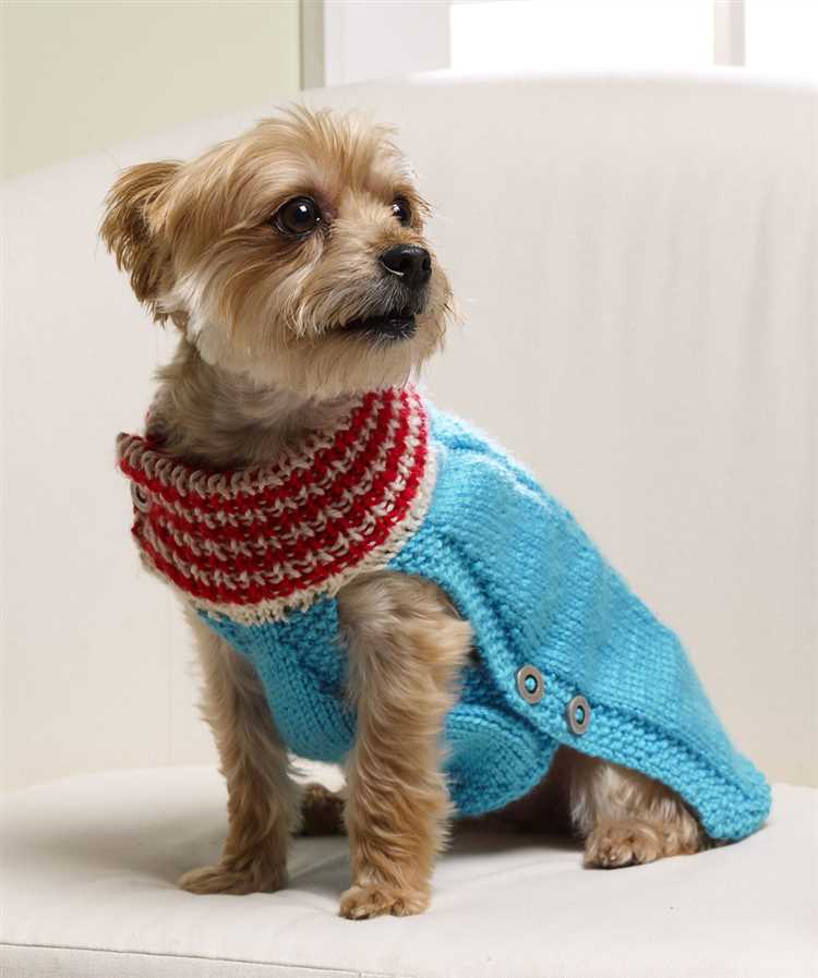 Step-by-Step Guide: Knitting a Sweater for Your Dog